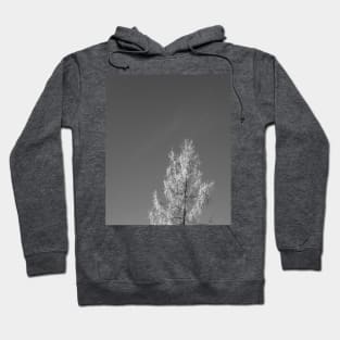 Frozen tree in winter Hoodie